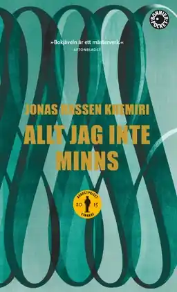 Allt jag inte minns